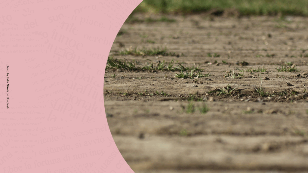 Circolo dei Lettori: Terra